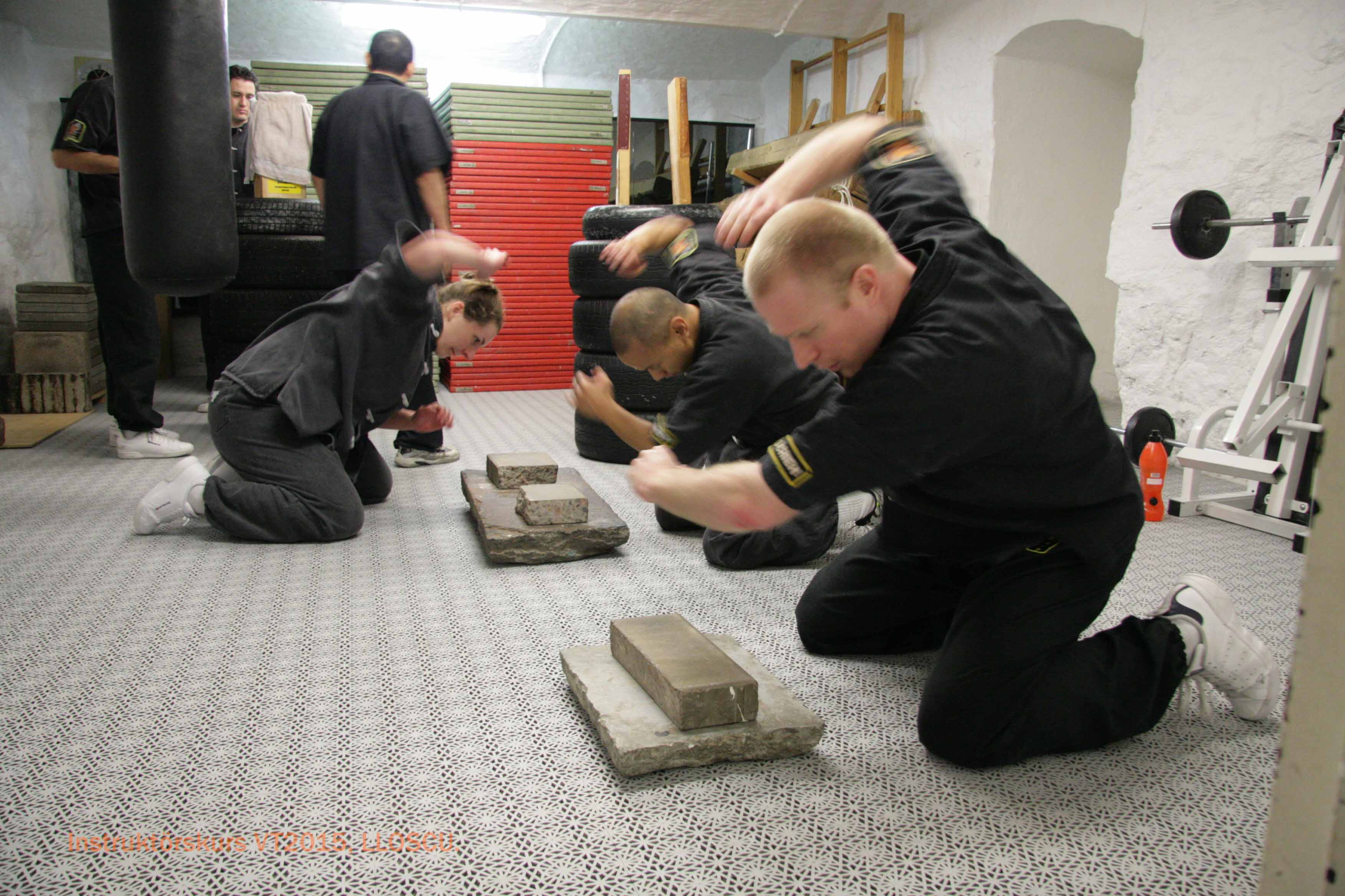 Louis Linn O Shin Chuen Union Instructors course,  Da Zhu Jiao Paulina Wysotzky, Da Zhu Jiao Dennis Guerrero and Da Zhu Jiao Ola Törnkvist practising hardening training on stone.