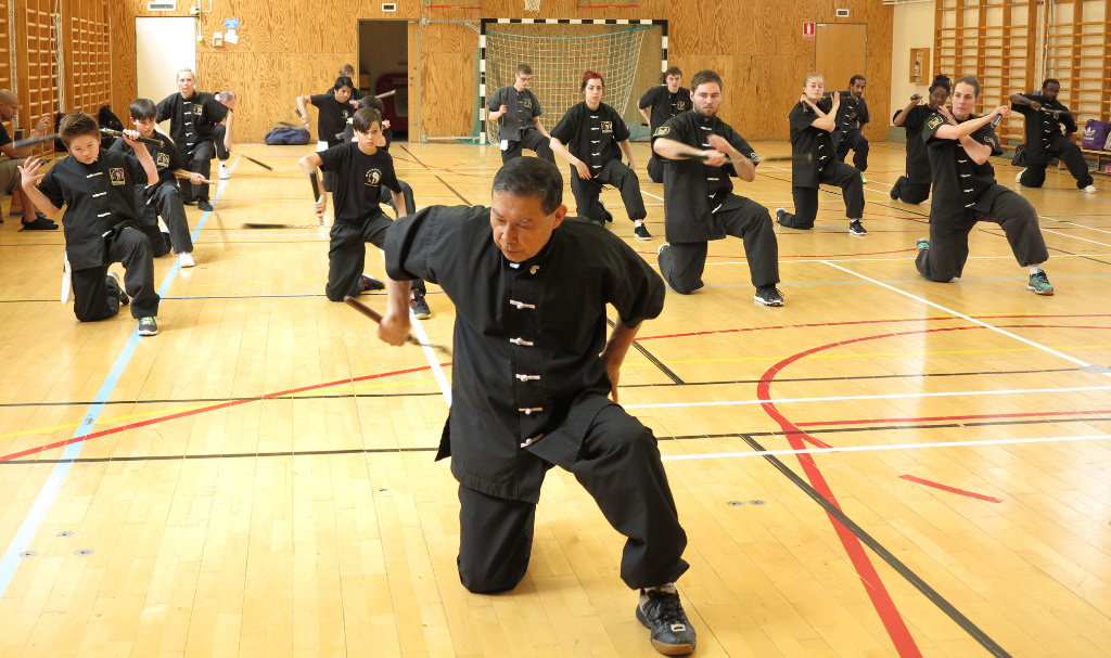 Louis Linn O Shin Chuen Union helgkurs Stockholm juni 2016 med tsoan-tje-kun