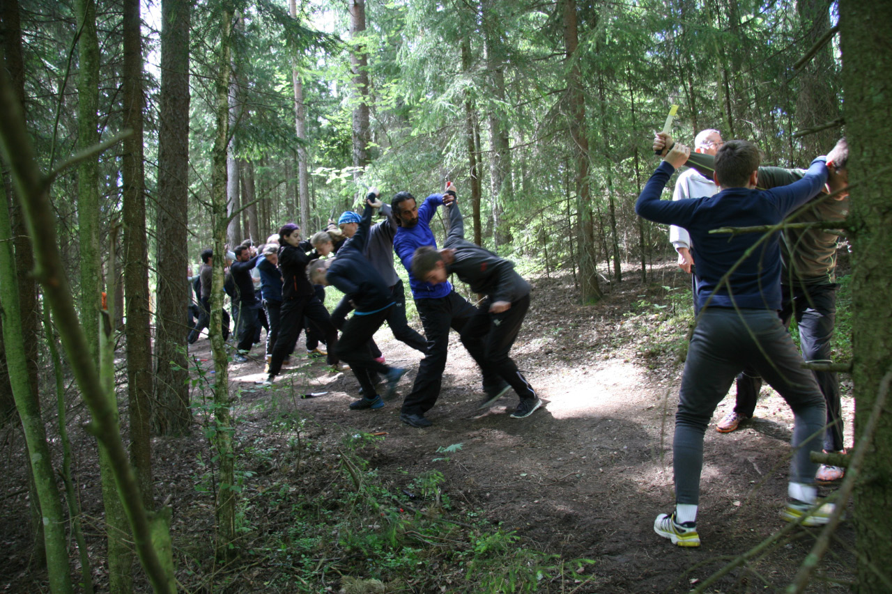 Louis Linn O Shin Chuen Union 41th training camp Isaberg Mountain Resort, taught by chief instructor Da Sifu Louis Linn, June 2017