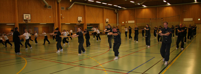 IMG_8459_trim