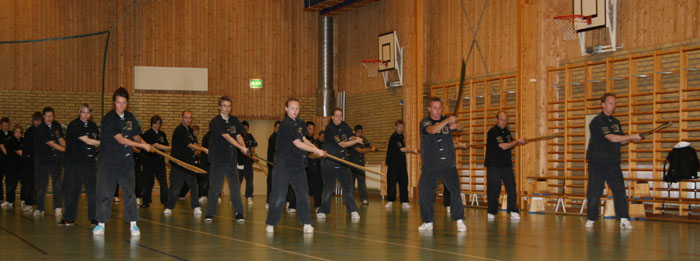 IMG_8495_trim