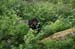 Camp2010_04