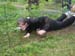 Camp2010_18