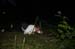 Camp2010_27