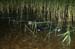 Camp2010_28
