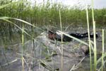 Camp2011_33