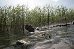 Camp2011_36